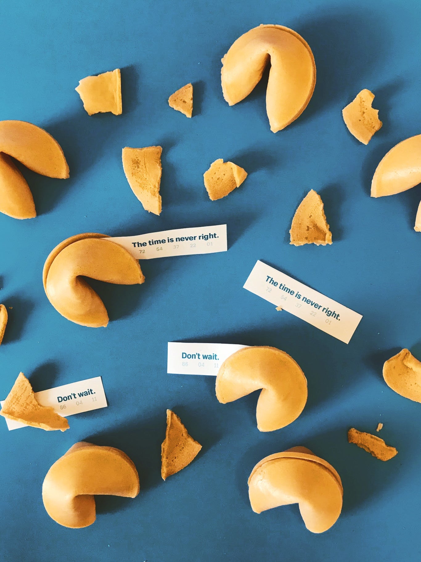 Picture of fortune cookies